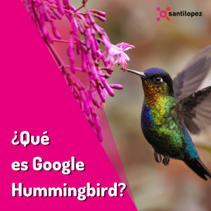 ¿Qué es Google Hummingbird